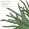 Artificial Staghorn Fern Plant – 20.9 Inches, Waterproof Faux Fern for Garden, Fall & Autumn Home Décor (Without Pot)